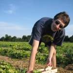 Ausflug Badesee & Erdbeerland